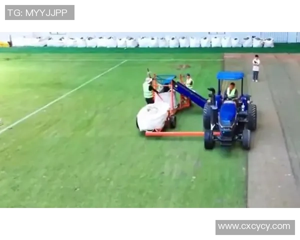 足球明星割草事件背后的故事与真相揭秘